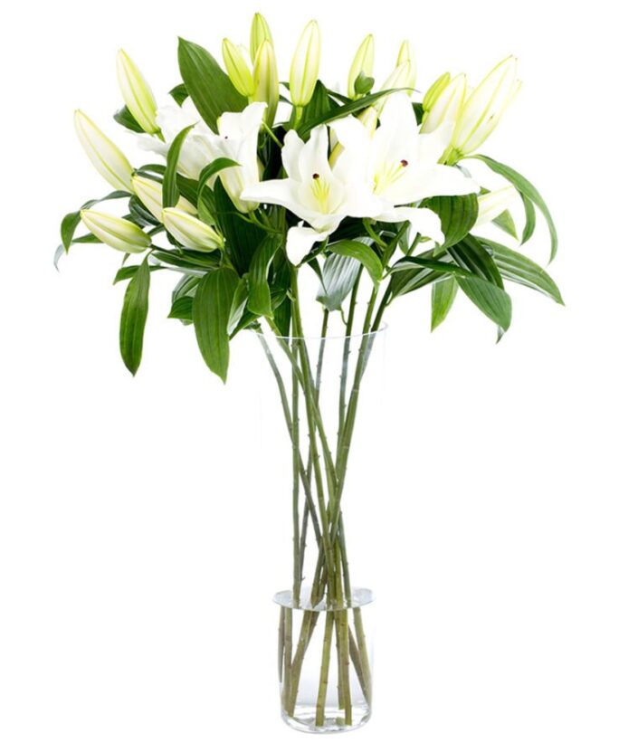 Flower Subscription - Lilies - Oriental - White