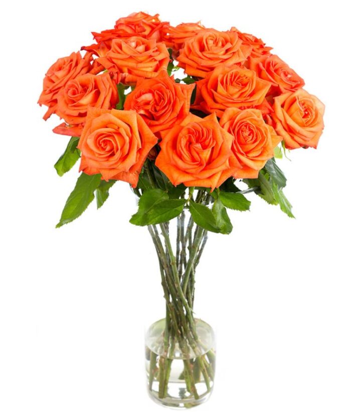 Weekly Flower Delivery –Roses - Long Stemmed - Orange