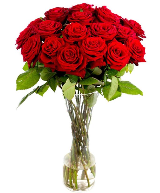 Weekly Flower Delivery – Roses - Long Stemmed - Red