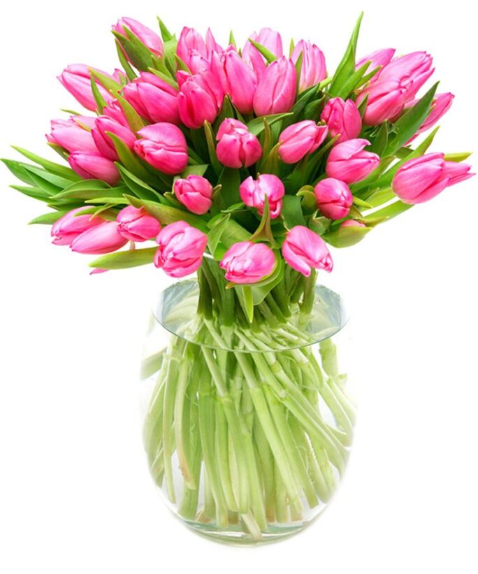 Weekly Flower Delivery – Pink Tulips for the Home or Office