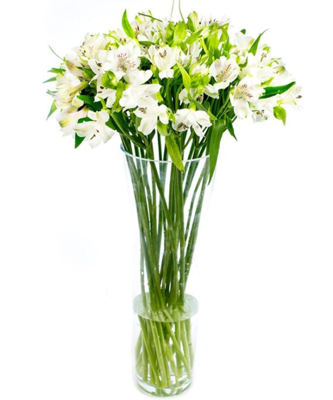 Letterbox Flower Delivery - White Alstroemeria Flowers Delivered