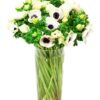 White Anemones Flowers Delivered