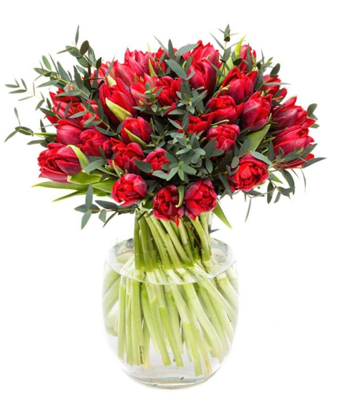 Valentines Day - Red Tulips and Foliage