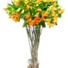 Flower Subscription - Alstroemeria - Orange