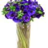 Anemones - Blue