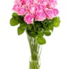 Roses - Pink