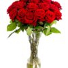 Roses - Red