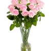 Roses - Soft Pink