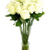 Roses - White
