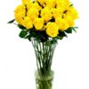 Roses - Yellow