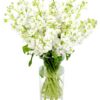 Stocks - White