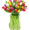 Tulips - Mixed