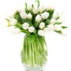 Tulips - White
