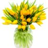 Tulips - Yellow