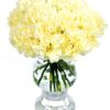 Carnations - Cream
