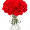 Carnations - Red