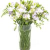 Freesias - Purple