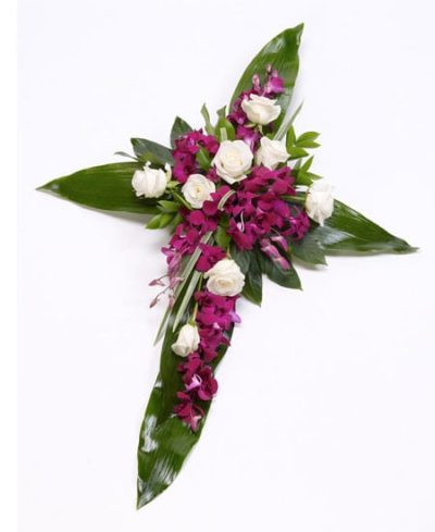 Aspidistra Cross
