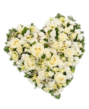 Heart Tribute