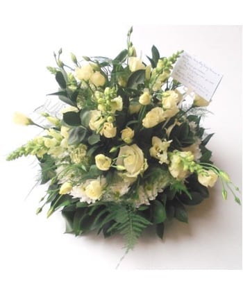 Posy